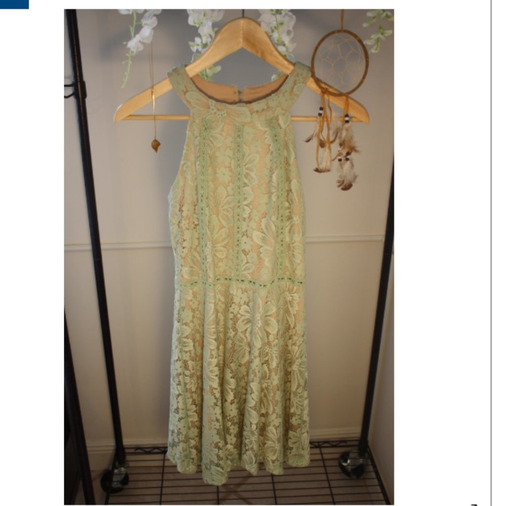 Sage Nude Lace Dress